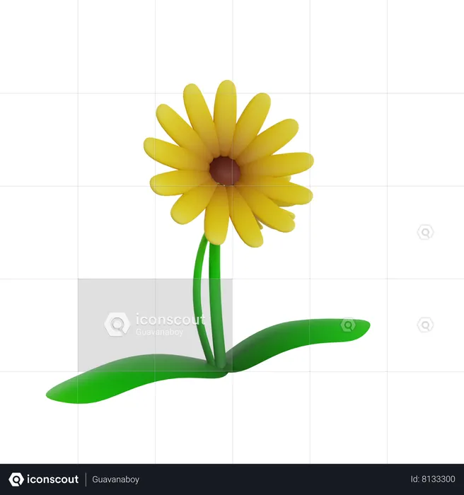 Flower  3D Icon