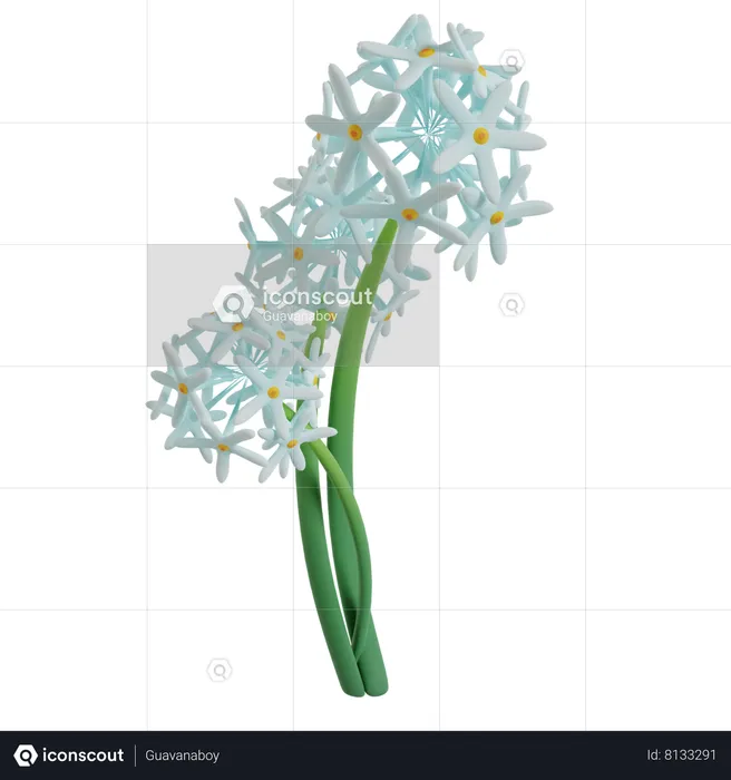 Flower  3D Icon