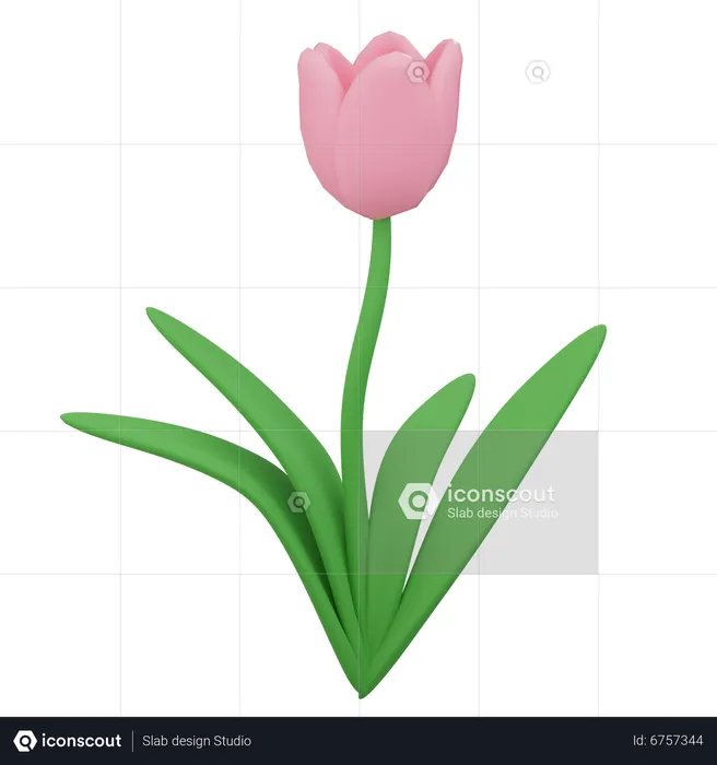 Flower  3D Icon