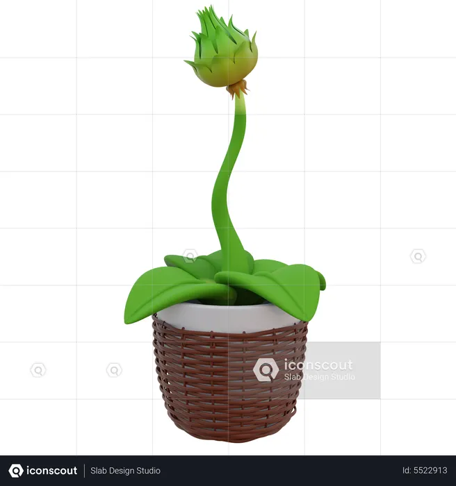 Flower Kuncup Pot  3D Icon