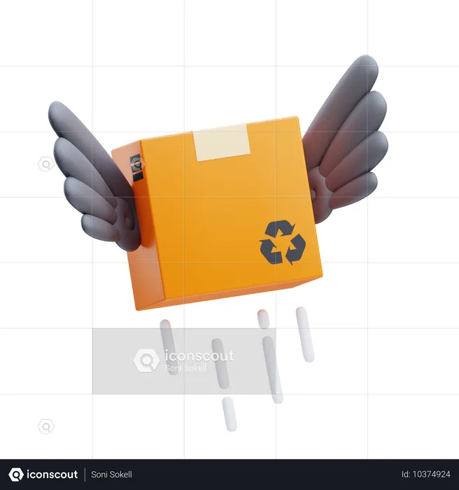 Flugpaket  3D Icon