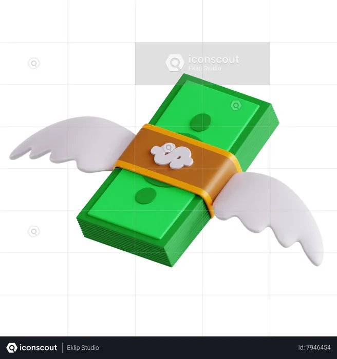 Flying Currency  3D Icon