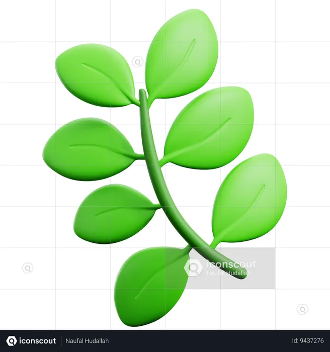 Foliage  3D Icon