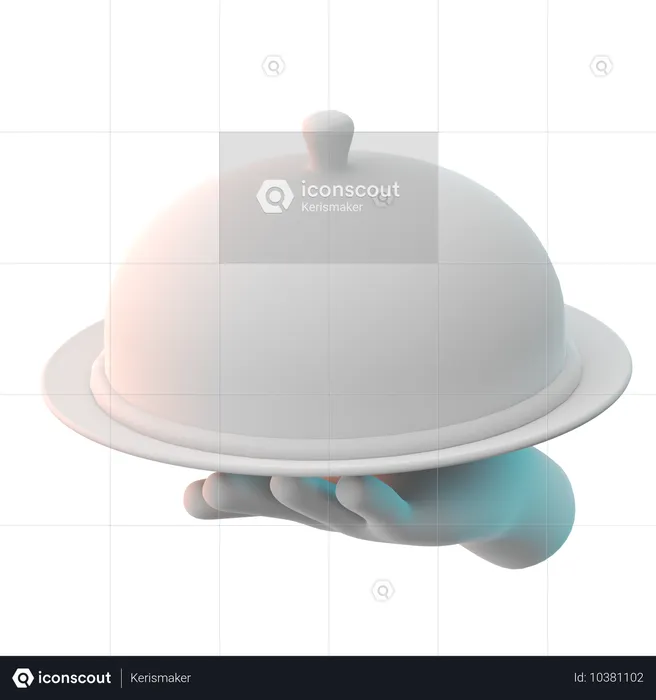 Food Serving  3D Icon