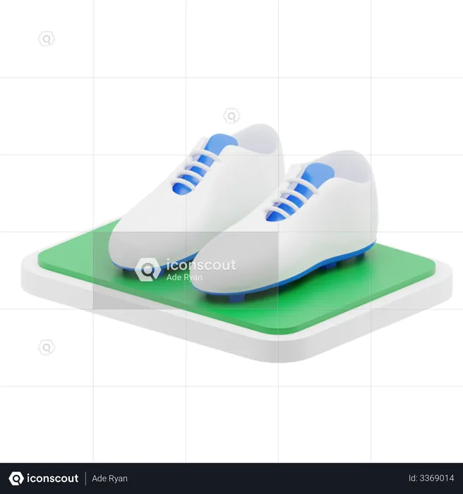Football shoes  3D Illustration