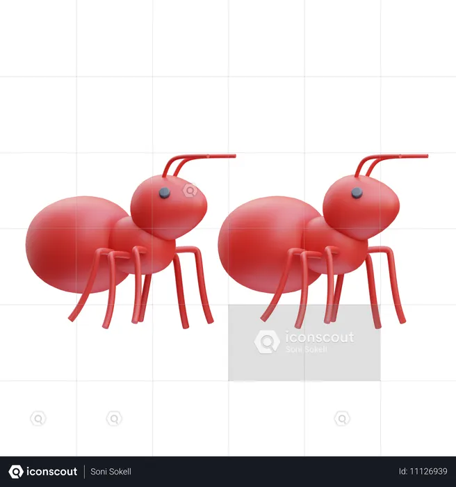 Fourmis  3D Icon