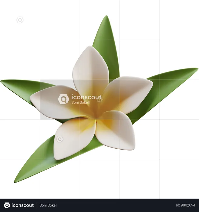 Frangipani  3D Icon