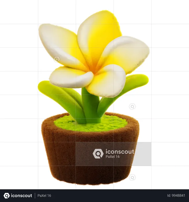 Frangipani Flower  3D Icon