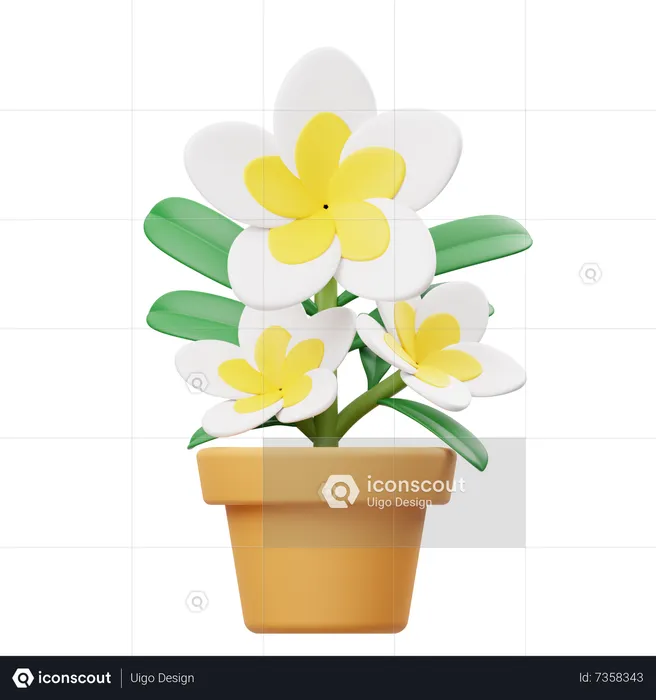 Frangipani Flower Pot  3D Icon