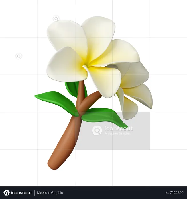 Frangipani Flowers  3D Icon