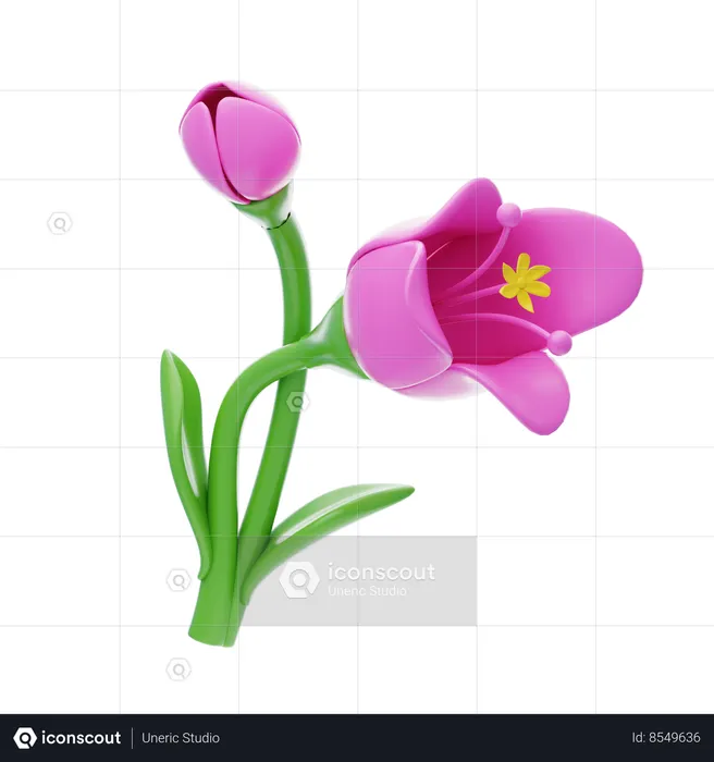 Freesia  3D Icon