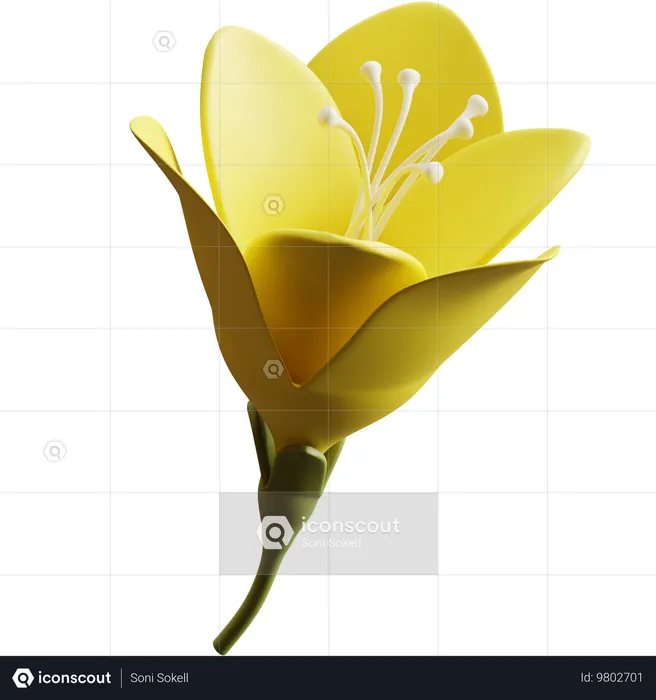 Freesia  3D Icon