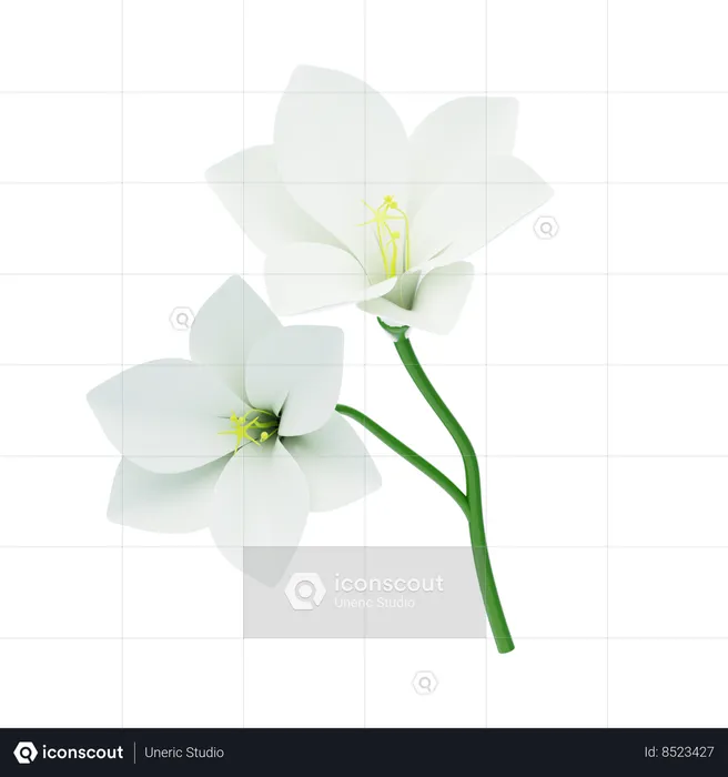 Freesia  3D Icon