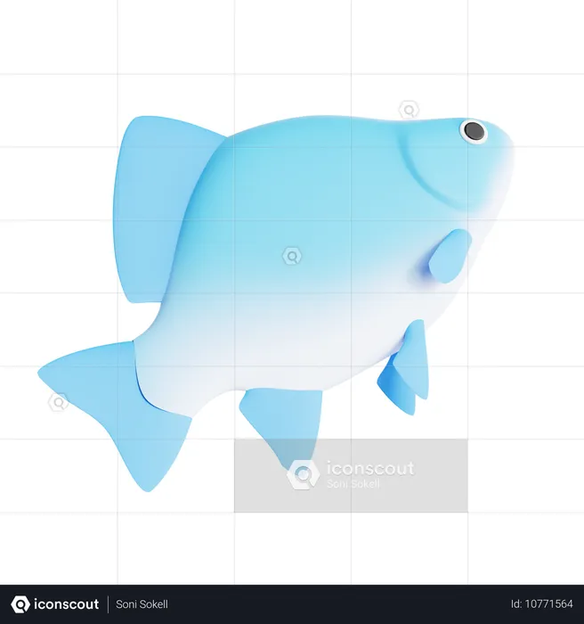 新鮮な魚  3D Icon