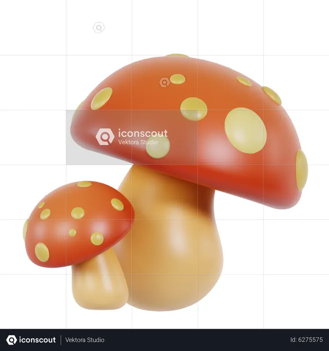 Funky Mushroom  3D Icon