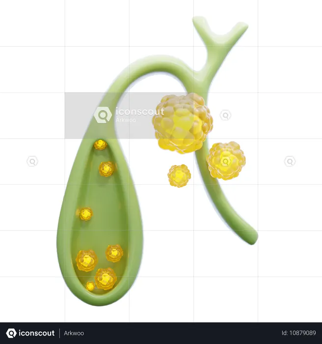 Gallbladder  3D Icon