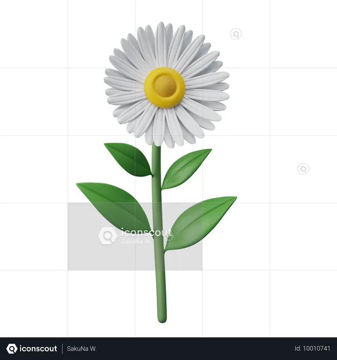 Gänseblümchen  3D Icon