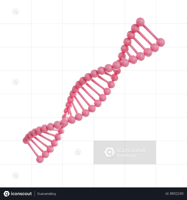 遺伝学  3D Icon