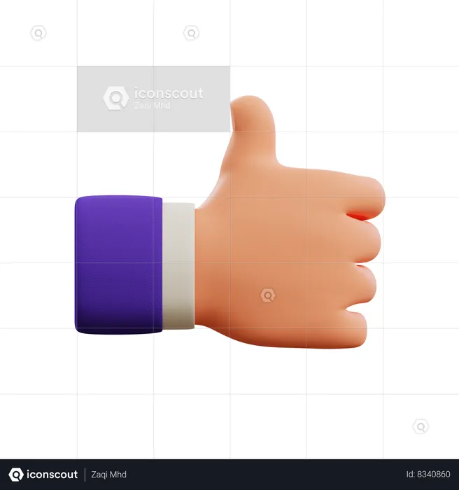 Buen gesto con la mano  3D Icon
