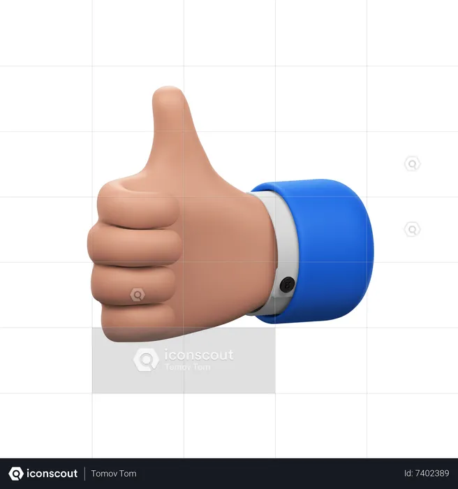 Buen gesto con la mano  3D Icon