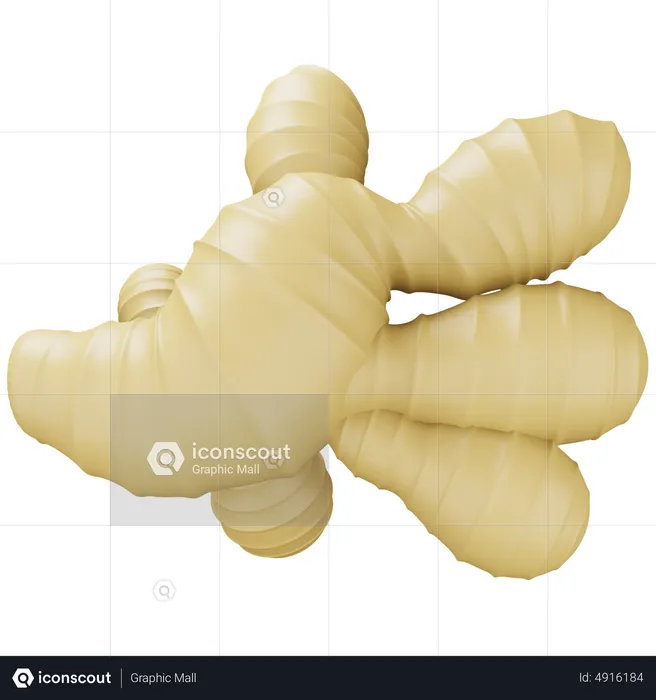 Ginger  3D Icon