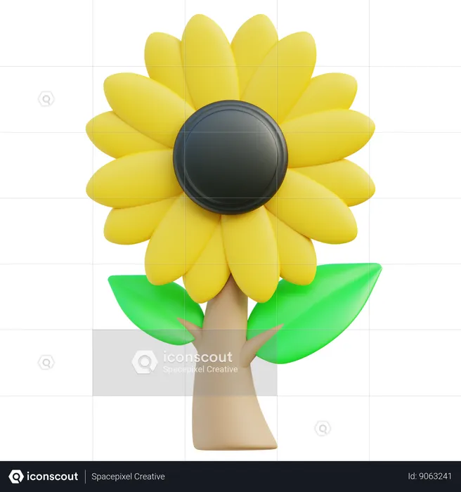 Girasol  3D Icon