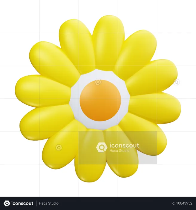 Girasol  3D Icon