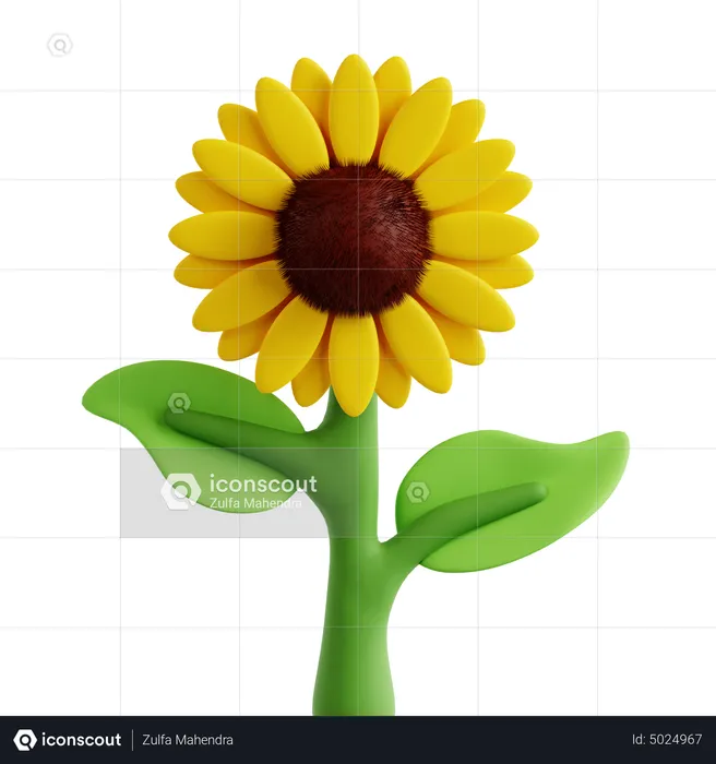 Girasol  3D Icon