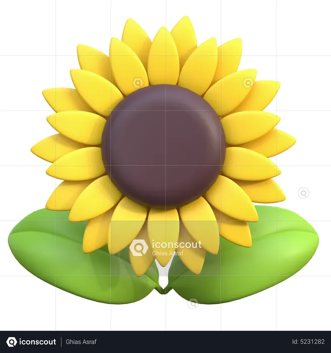 Girasol  3D Icon