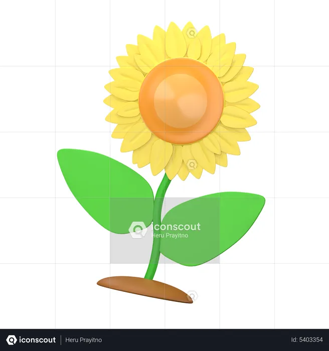 Fiore del sole  3D Icon