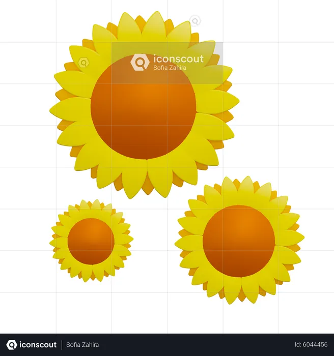 Flores del sol  3D Icon