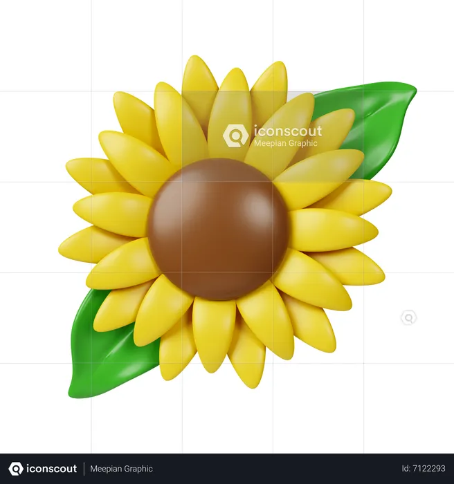 Flores del sol  3D Icon