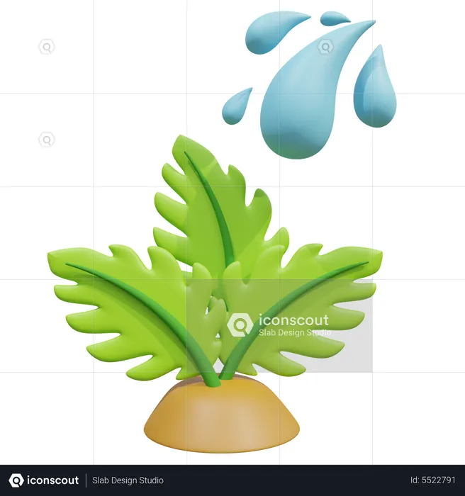 Give Water To Plant  3D Icon