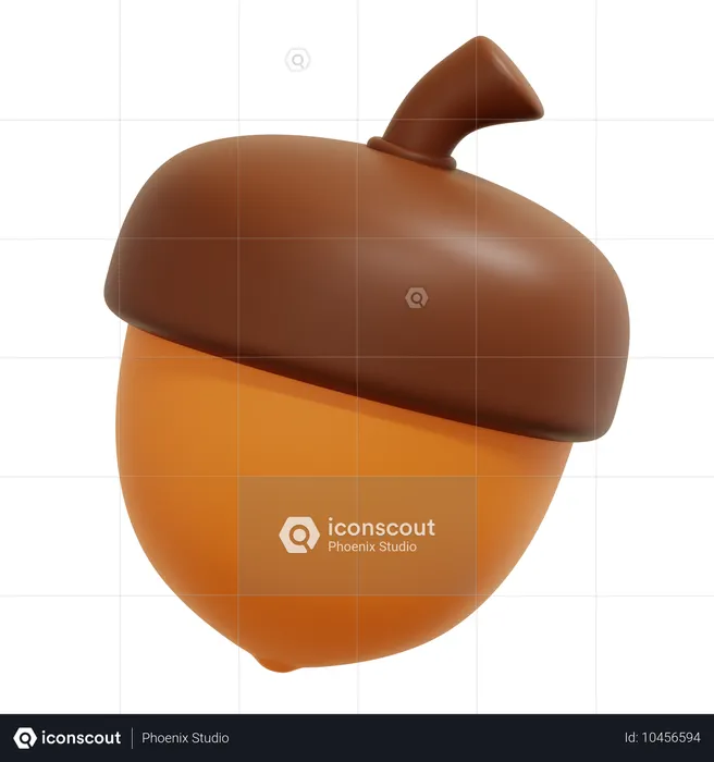 Noix de gland  3D Icon