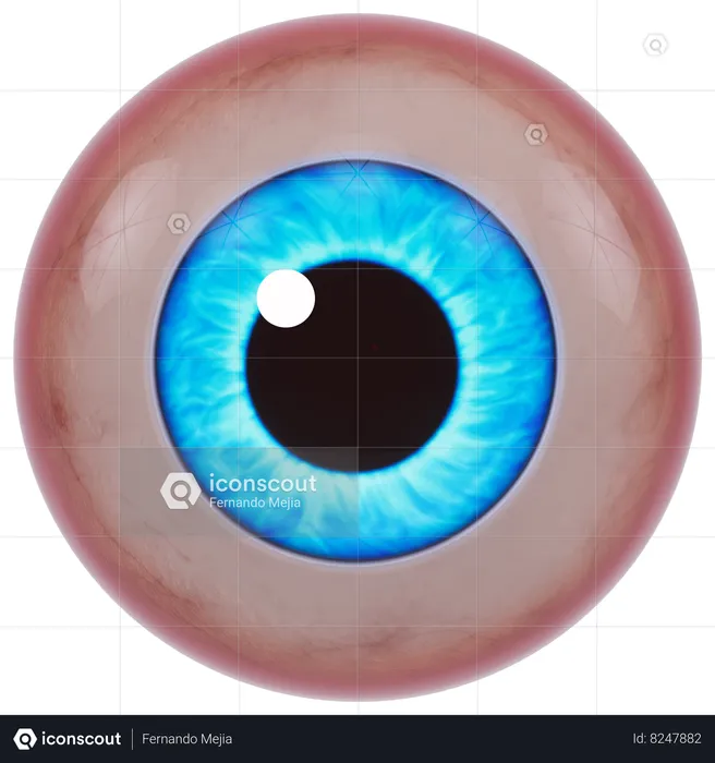 Globo ocular  3D Icon