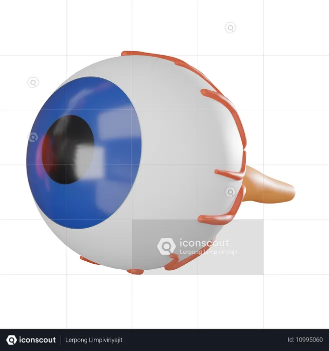 Globo ocular  3D Icon