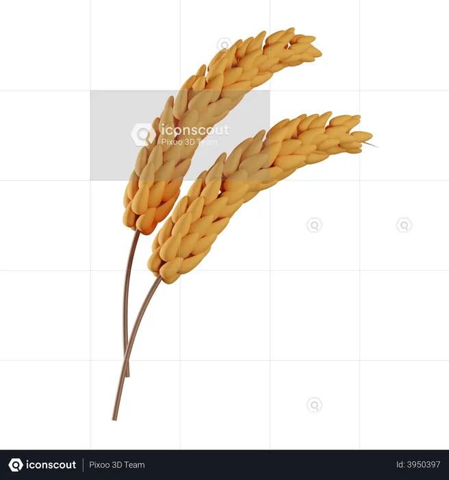 Grain  3D Illustration