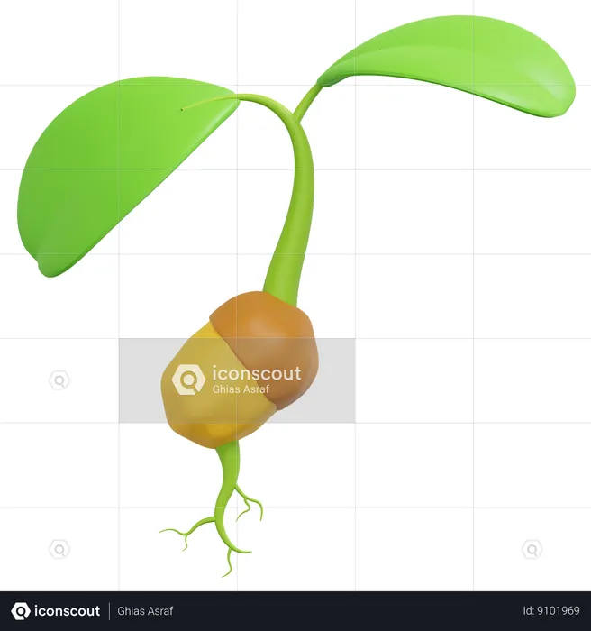 Graines de plantes en croissance  3D Icon