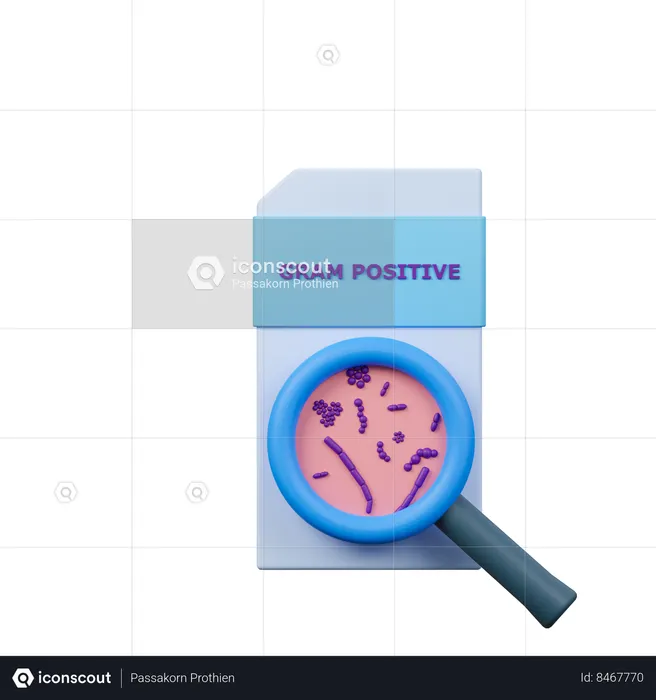 Gram positif  3D Icon