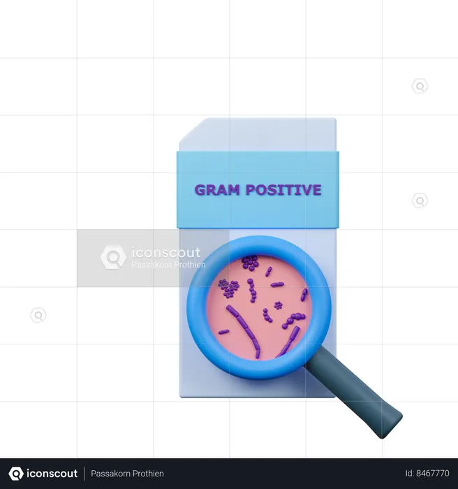 Gram Positive  3D Icon