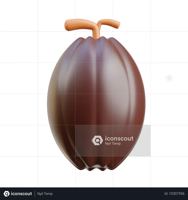 Grano de cacao  3D Icon