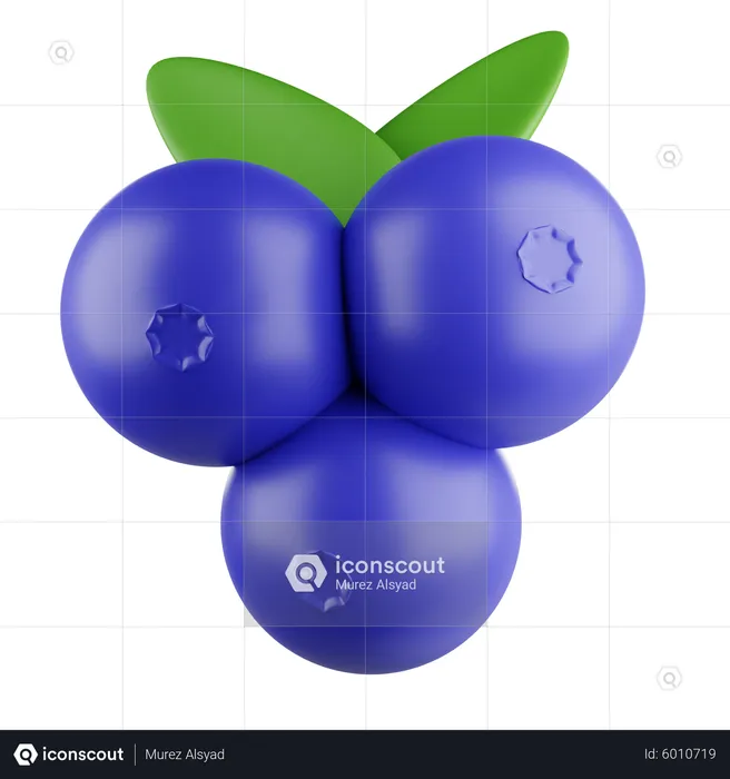 Grape  3D Icon