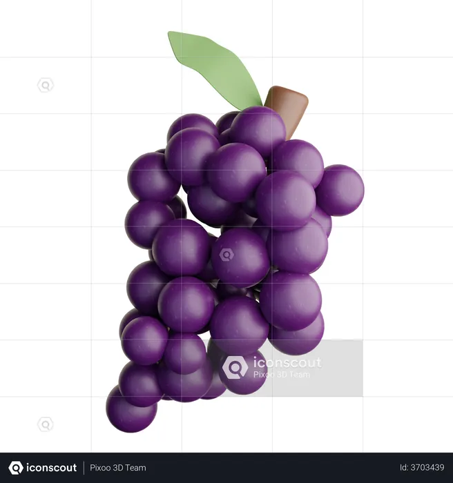 Grape  3D Illustration