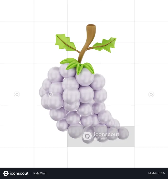 Grape  3D Illustration