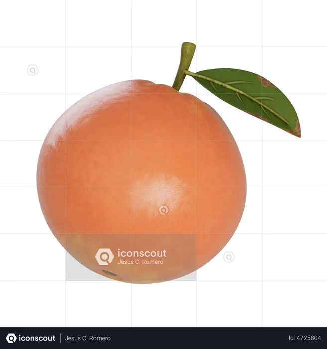 Grapefruit  3D Illustration