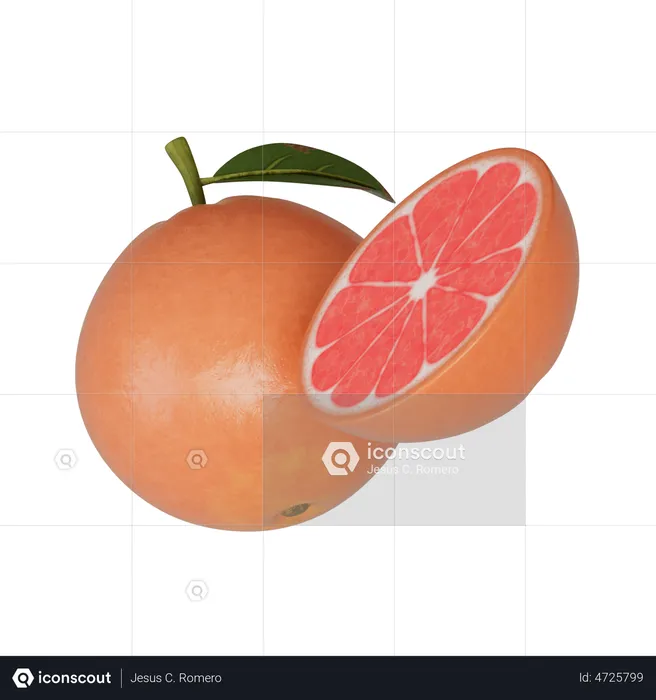 Grapefruit  3D Illustration