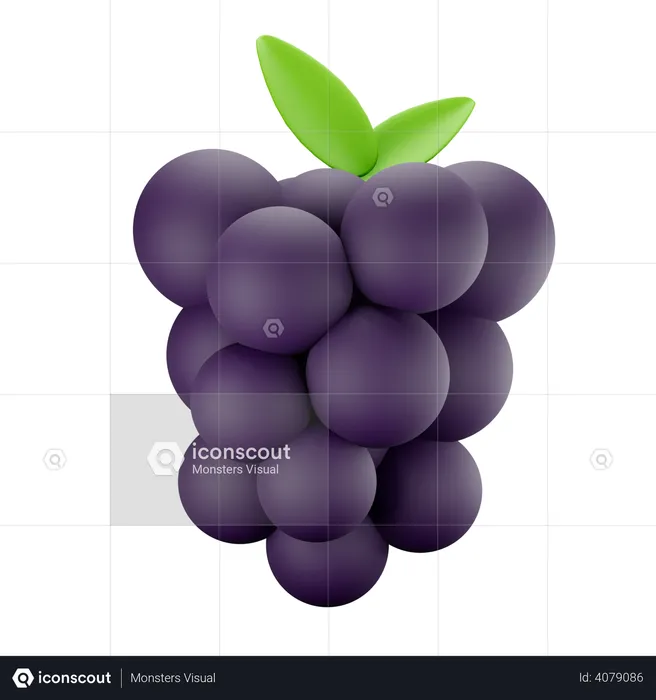 Grapes  3D Illustration
