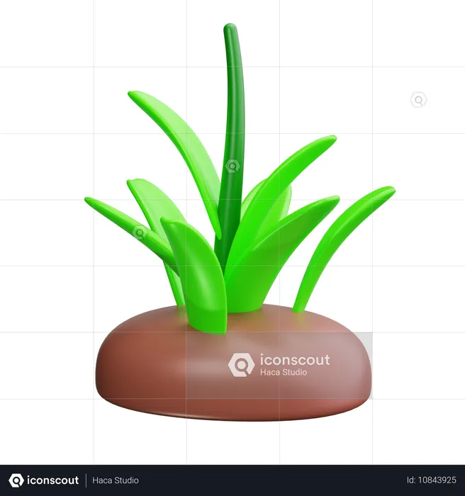 Grass  3D Icon