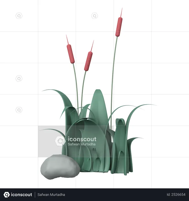 Grass  3D Illustration