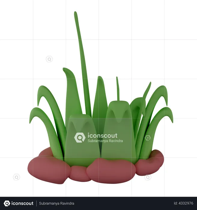 Grass  3D Illustration